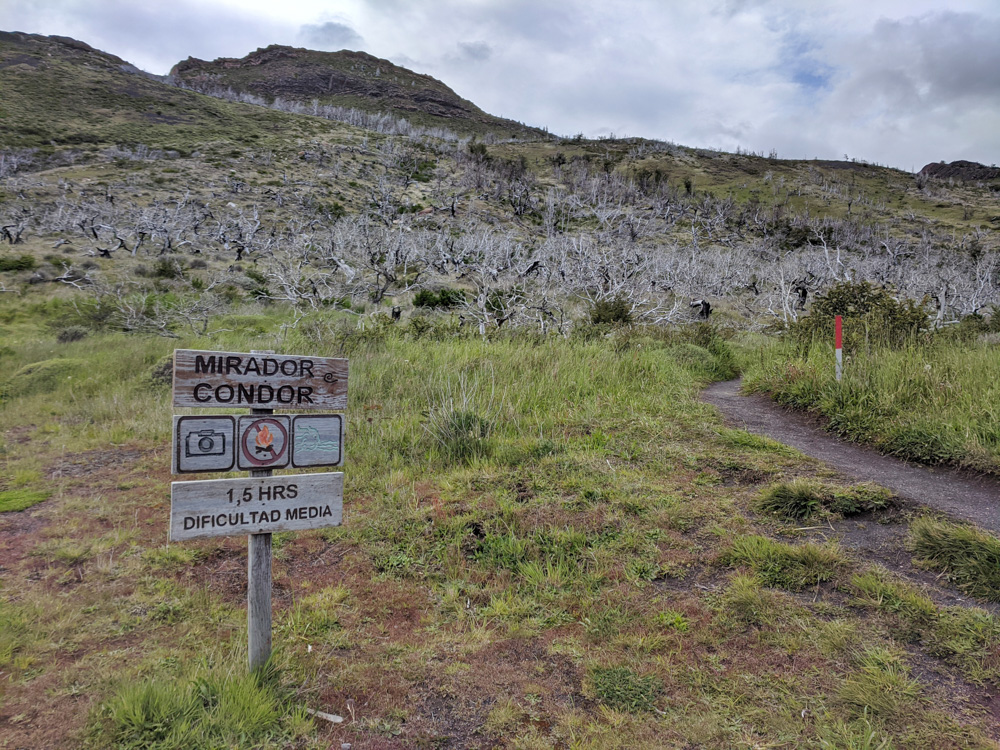 Mirador Condor hike