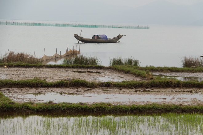 fishing boats and rice paddies