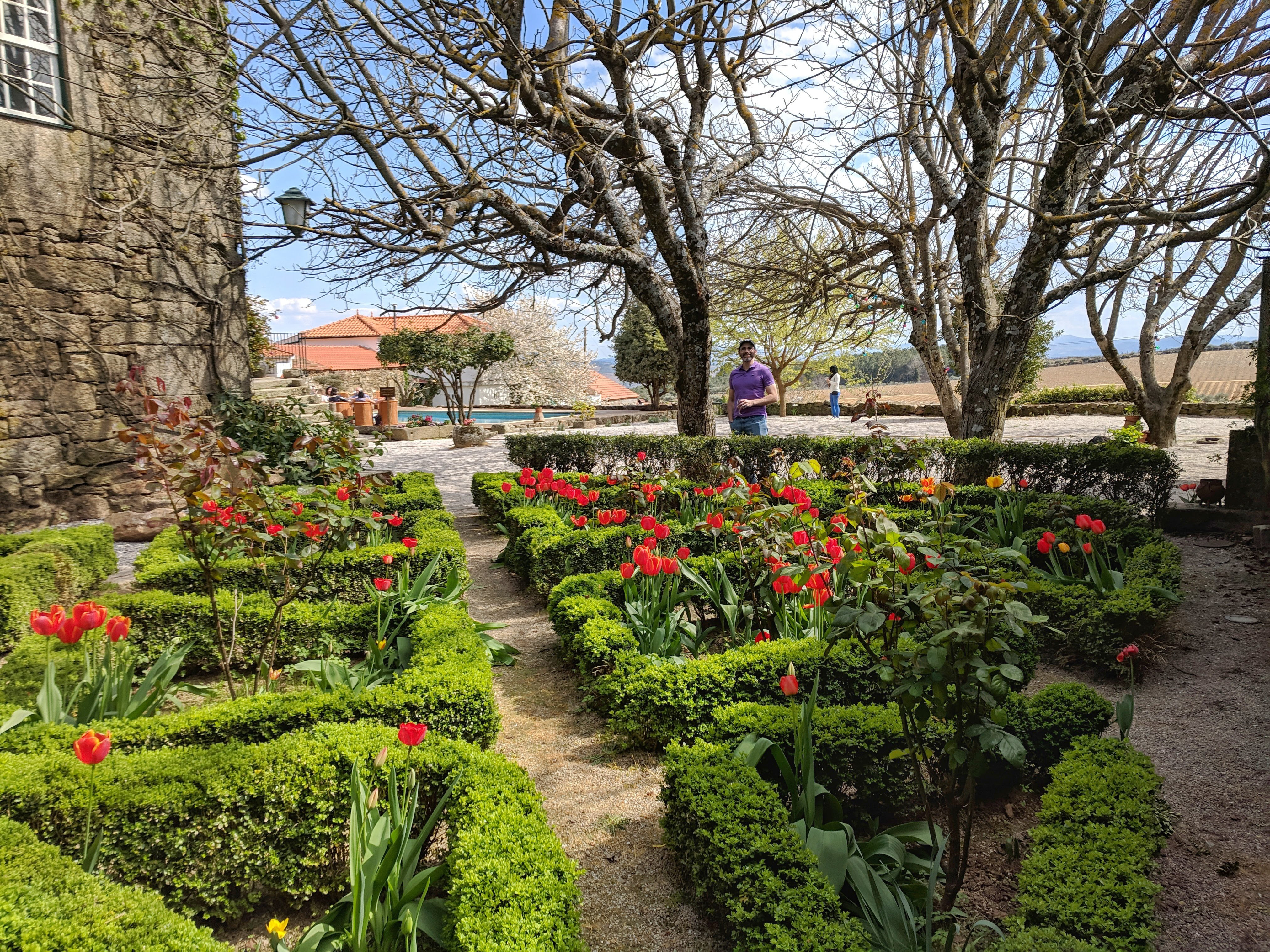 Vintagetheory gardens