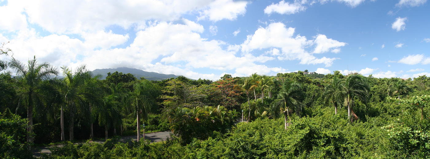view of El Yunque from the valet area