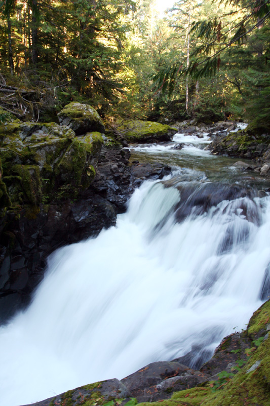 Monkey Cage Falls