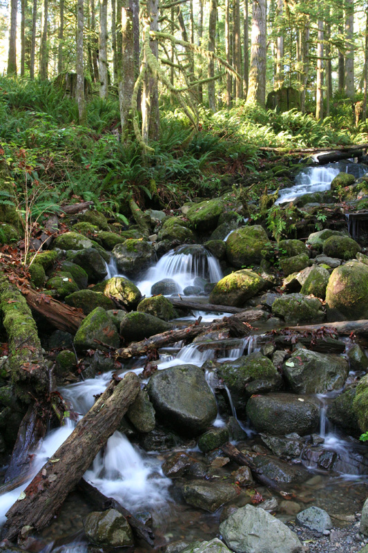 Wallace Falls - small falls