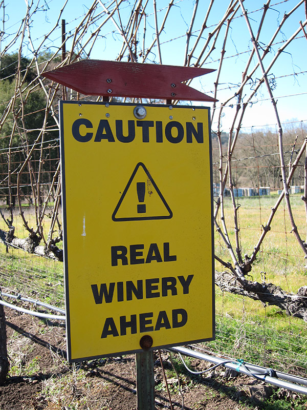 real winery ahead