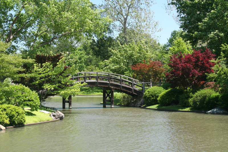 Japanese Garden bridge
