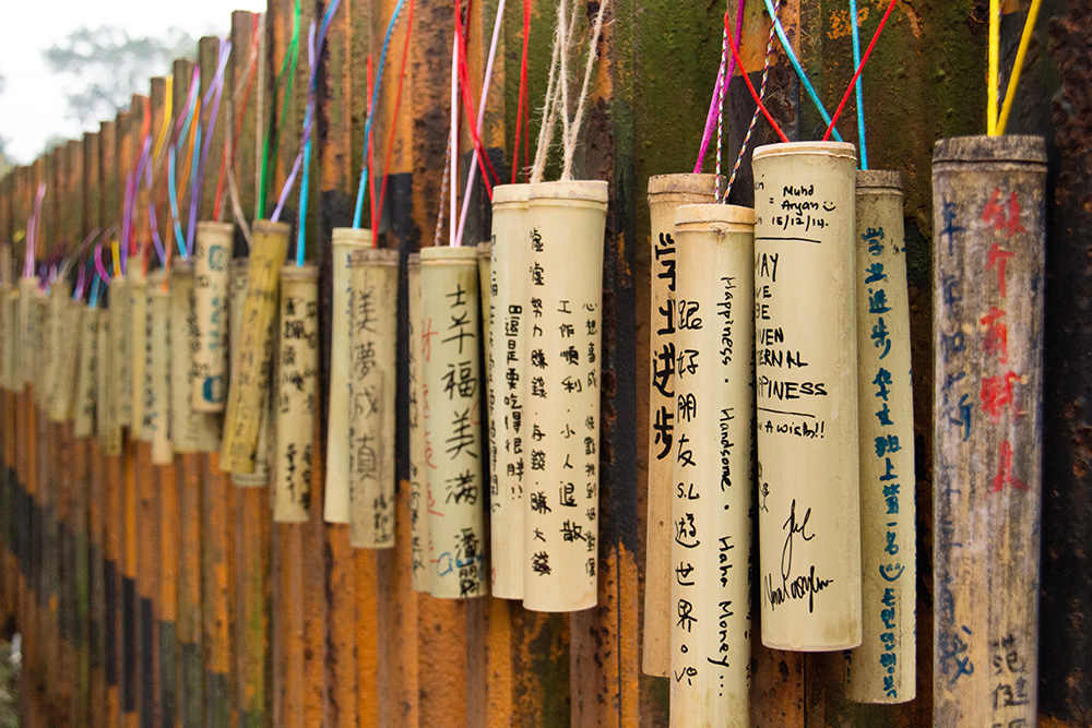 prayers and wishes on bamboo