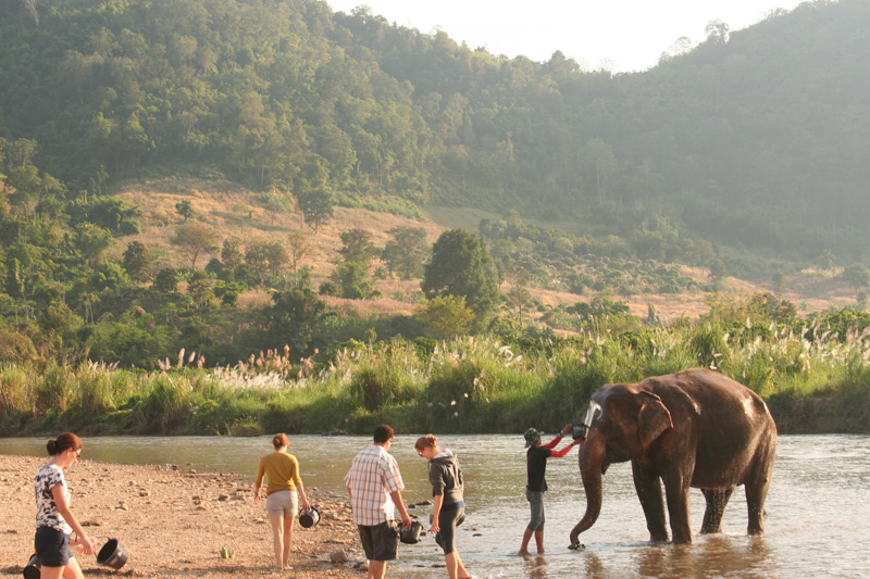 bath time in the valley