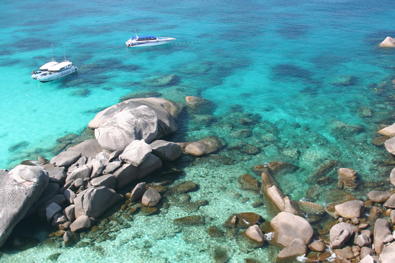 coral and clear blue water at #8