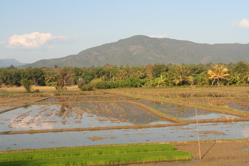 flooded fields