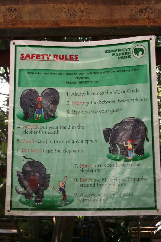 rules