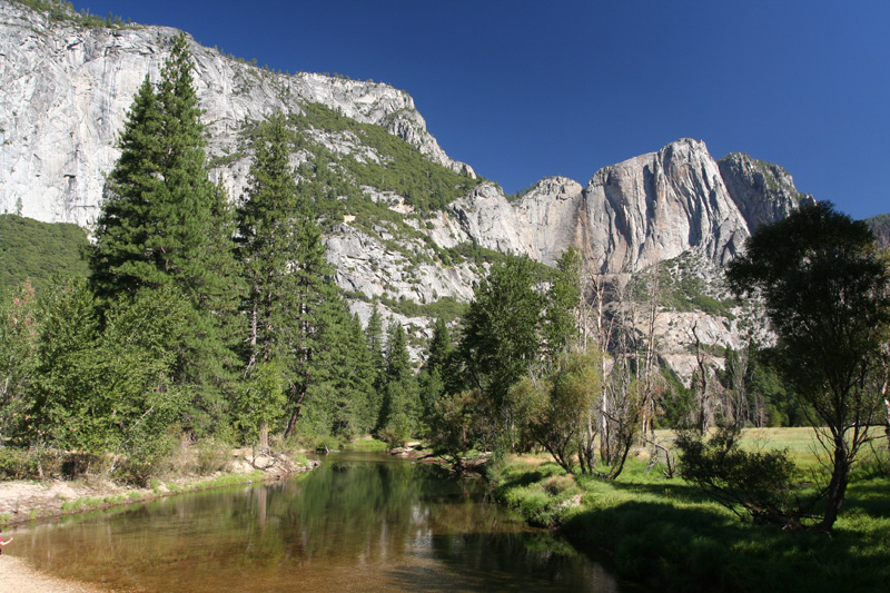 Swinging Bridge meadows