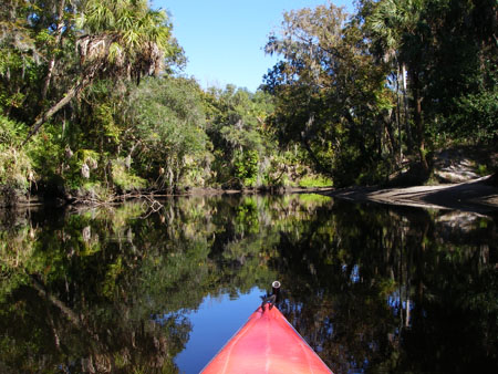 Kayaking on the Manatee River in FL