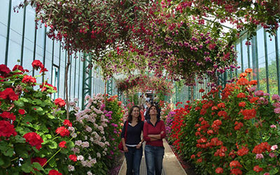 Royal Greenhouses in Laeken