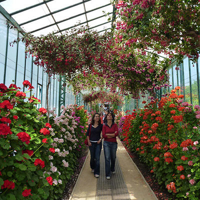 Royal Greenhouses in Laeken
