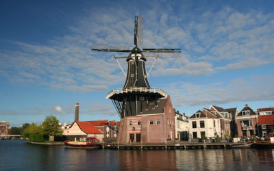 day trip to Haarlem