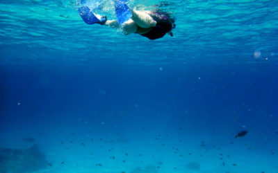 Asian adventure 2011: Similan Islands