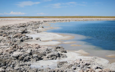 Chile 2012: Atacama Desert, Cejar Lagoon