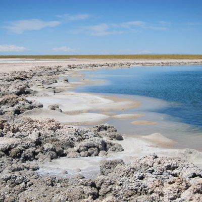 Chile 2012: Atacama Desert, Cejar Lagoon