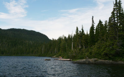 British Columbia 2012: Paradise Meadows