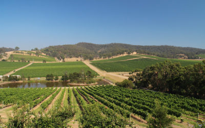 Asia/Australia 2013: Yarra Valley wine tasting