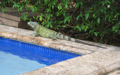Curacao 2013: sights