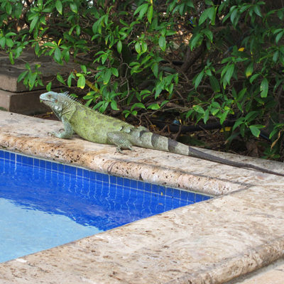 Curacao 2013: sights