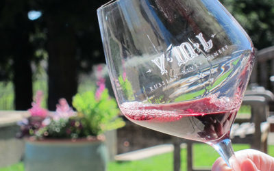 Sonoma County: Russian River Valley wine tasting