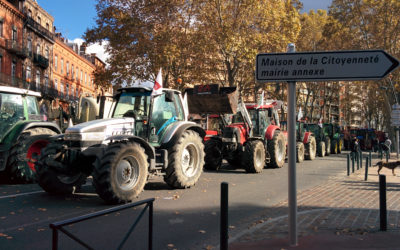 France Nov 2014: Toulouse sights