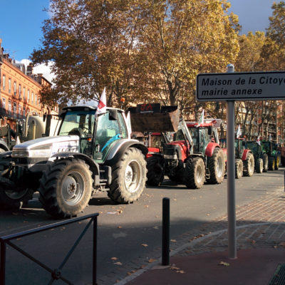 France Nov 2014: Toulouse sights