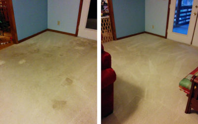 Carpet Cleaning 101