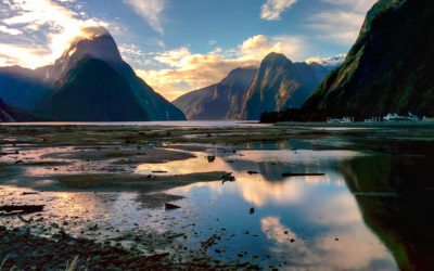 Drive to Milford Sound