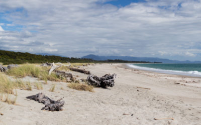 New Zealand – Route 6 drive to Haast Beach