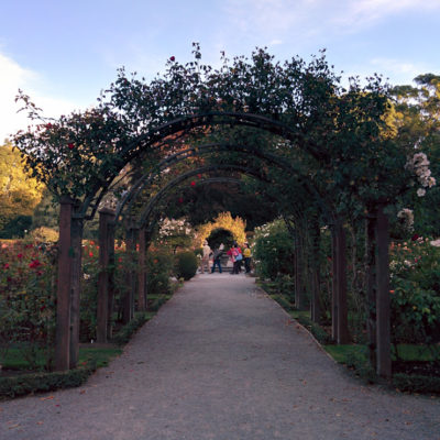 New Zealand – Christchurch