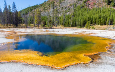 Wild West 2015: Yellowstone (day 3)