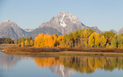 Wild West 2015: Grand Teton Park & Jackson, Wyoming