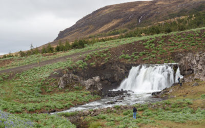 Eric’s 40th: Iceland Day 1 – Golden Circle and Þingvellir National Park