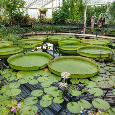 Eric’s 40th: Kew Gardens & Richmond