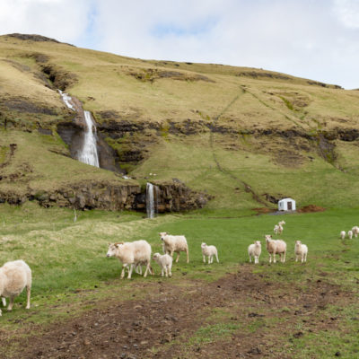 Eric’s 40th: Iceland Day 3 – Selfoss to Vik, waterfalls galore and Skógafoss