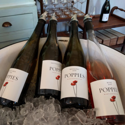 Wellington: day trip to Martinborough