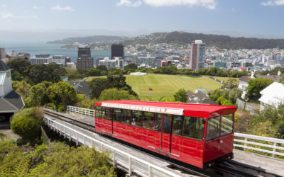 Wellington: botanical gardens & coastal views
