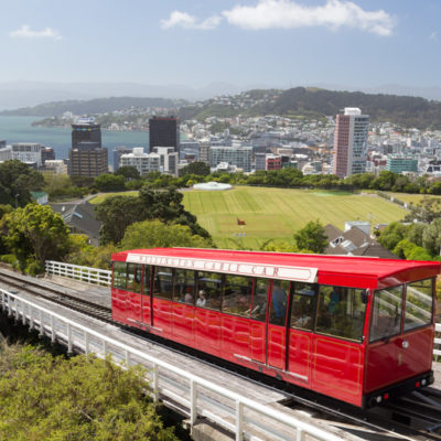 Wellington: botanical gardens & coastal views