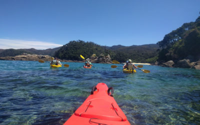 Nelson: kayak trip to Abel Tasman