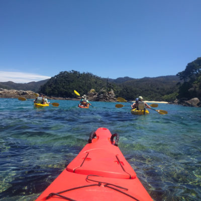 Nelson: kayak trip to Abel Tasman