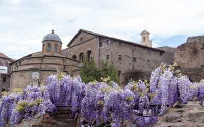 Italy 2017: Palatine Hill, Roman Forum, and Colosseum