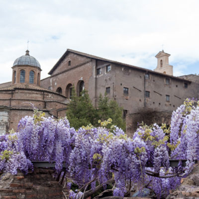 Italy 2017: Palatine Hill, Roman Forum, and Colosseum