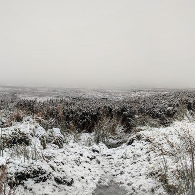 Dublin: daytrip to Wicklow