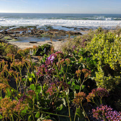 San Diego: sites