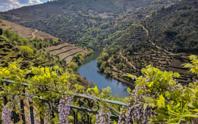 Portugal 2019: Douro daytrip