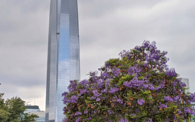 Patagonia: a day in Santiago