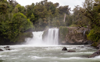 Patagonia: Puyehue National Park + Las Cascadas