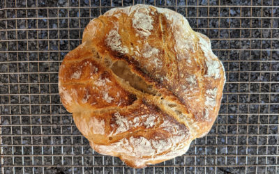 Making bread without yeast: a lesson in patience